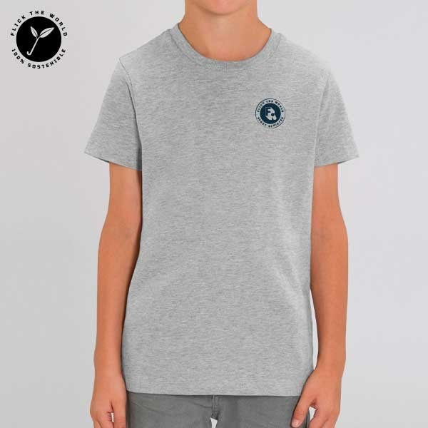 Camiseta Niño Flick Sport Division Gris
