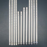 Correas de Pies TK Set 12 Piezas