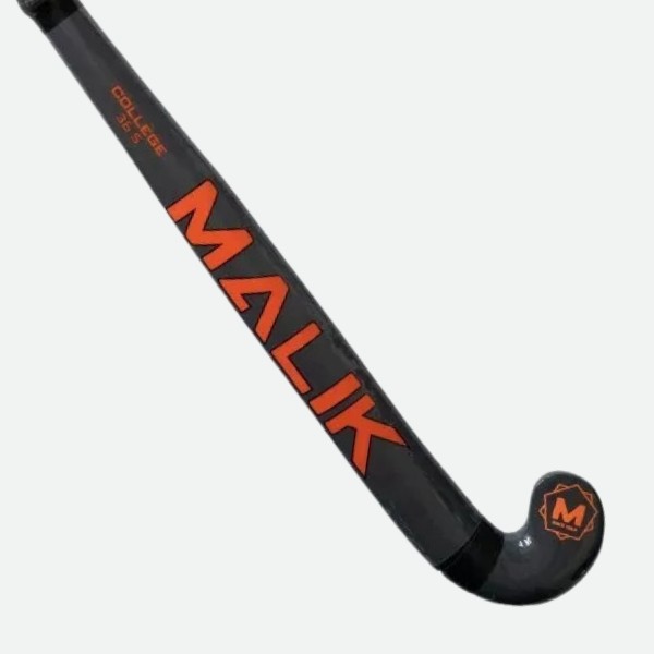 Palo Hockey Sala Malik College