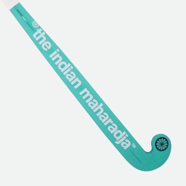 Palo Hockey Sala TIM Arctic