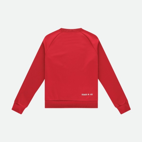 Sudadera Osaka Men Training Pro