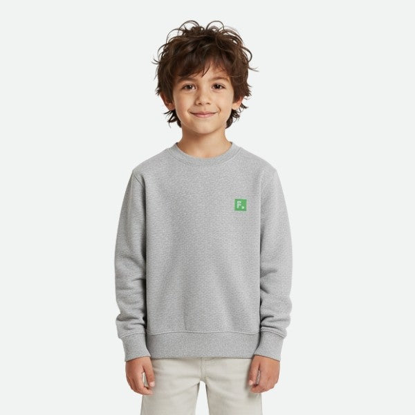 Sudadera Niño Flick Hockey Après Gris